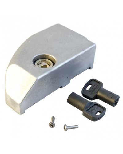 Дверца замка разблокировки BK Came 119RIBK012 в Первоуральске Запчасти для шлагбаумов и автоматики Pintop.ru