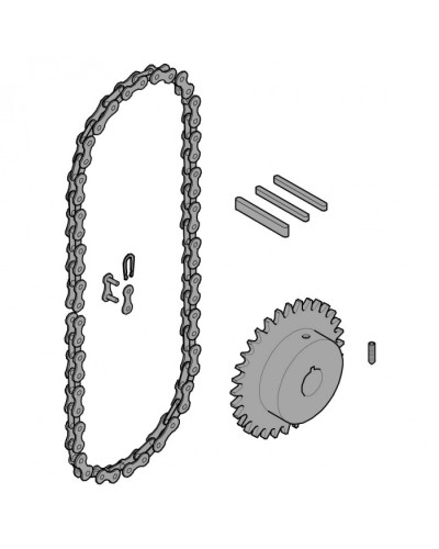 Передающая система (цепь и звездочки) C005 Came 119RICX016 в Первоуральске Запчасти для шлагбаумов и автоматики Pintop.ru
