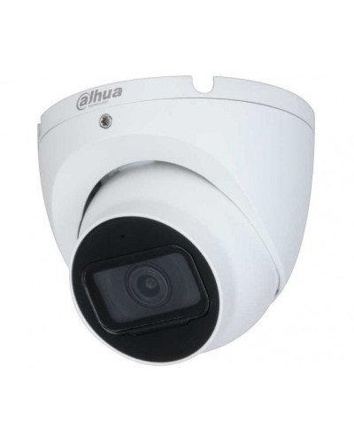 IP-камера видеонаблюдения уличная купольная Dahua DH-IPC-HDW2230TP-AS-0280B-S2 в Первоуральске IP-камеры Pintop.ru