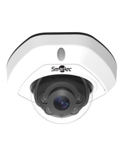 IP-камера видеонаблюдения уличная купольная Smartec STC-IPM3540/1 в Первоуральске IP-камеры Pintop.ru