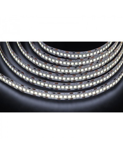 Лента светодиодная Navigator 14 459 NLS-2835CW240-24-IP20-12V в Первоуральске Источники света(Лампы) Pintop.ru