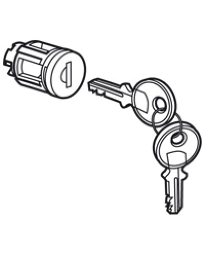 Цилиндр встроенный под ключ №405 Legrand 020291 в Первоуральске Дополнительное оборудование для сетей Pintop.ru