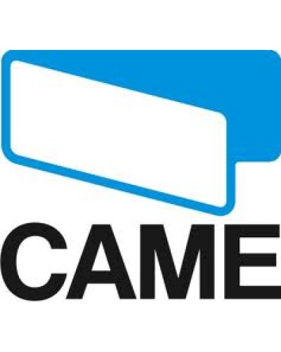 Пластина крепления стрелы Came 119RIG055 в Первоуральске Запчасти для шлагбаумов и автоматики Pintop.ru