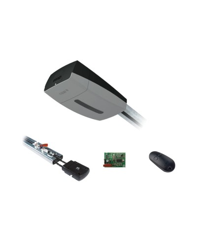 Came V10DMS3.25 KIT (до 3,25 м до 18 м2) - Комплект автоматики для секционных ворот высотой до 2,7 м на основе привода VER10DMS в Первоуральске Автоматизация ворот Pintop.ru