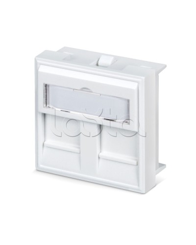 Вставка 45x45 (аналог Mosaic) для 2 модулей формата Keystone Jack Cabeus FP-45-2M в Первоуральске Модули Keystone Pintop.ru