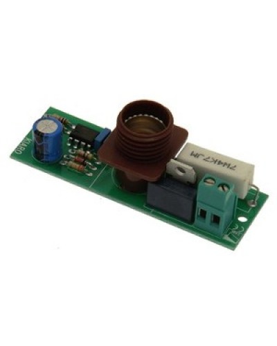 Плата лампы KIARO 24 Came 119RIR030 в Первоуральске Запчасти для шлагбаумов и автоматики Pintop.ru