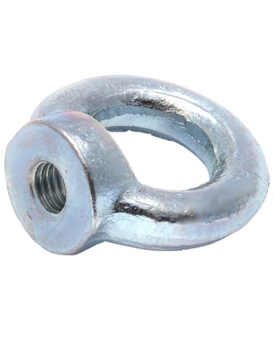 Рым-гайка М16 DIN 582 (20 шт/уп) Промрукав (PR08.3907) в Первоуральске Крепеж Pintop.ru