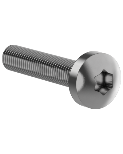 Винт М6х30 IEK (FO-00D-VTORX-M6X30-020) в Первоуральске Аксессуары для стоек и шкафов Pintop.ru