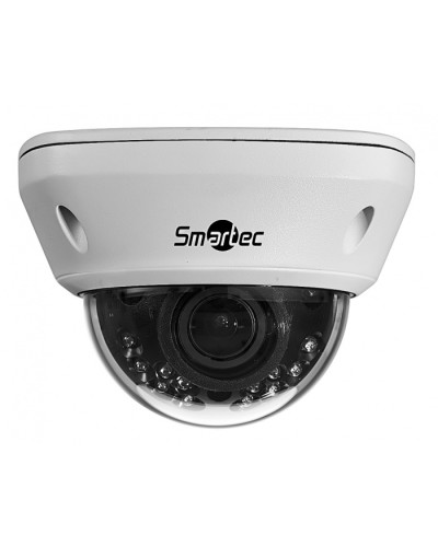 IP-камера видеонаблюдения купольная Smartec STC-IPM5591/1 в Первоуральске IP-камеры Pintop.ru