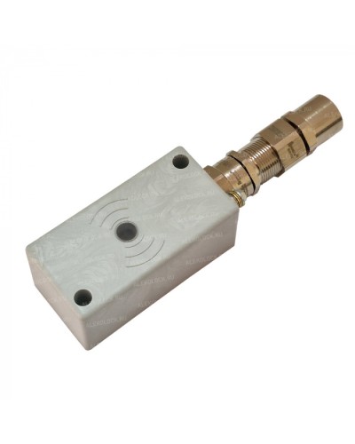 Считыватель взрывозащищенный ALeko ALM-RD-S08-FM-RMFEH-T в Первоуральске Считыватели Pintop.ru