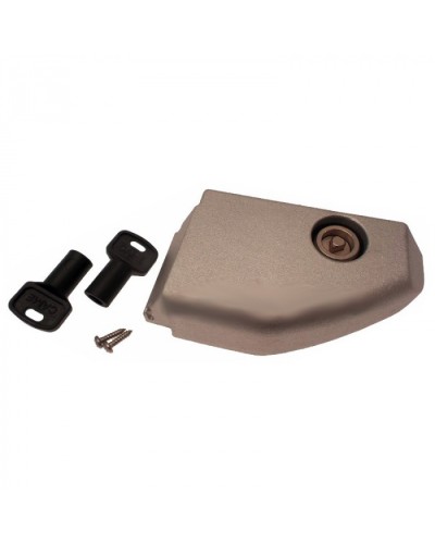 Дверца разблокировки с замком BX Came 119RIBX008 в Первоуральске Запчасти для шлагбаумов и автоматики Pintop.ru