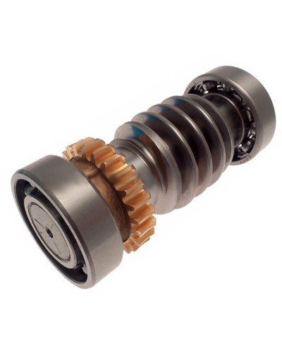 Червяк FROG Came 119RIA016 в Первоуральске Запчасти для шлагбаумов и автоматики Pintop.ru