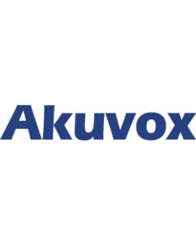 IP монитор (интерком-панель) Akuvox C313W_V2 в Первоуральске Абонентские IP устройства Pintop.ru