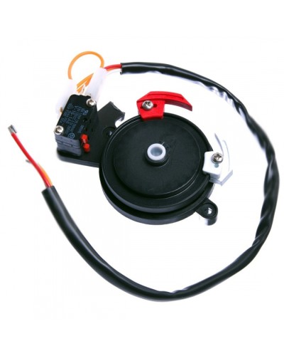 Концевые микровыключатели в сборе BX-243 Came 119RIBX041 в Первоуральске Запчасти для шлагбаумов и автоматики Pintop.ru