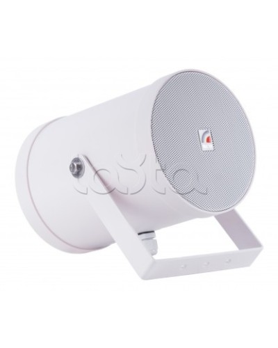 Двунаправленный Прожектор звуковой ROXTON SW-10T2 в Первоуральске Система оповещения и трансляции Roxton Pintop.ru