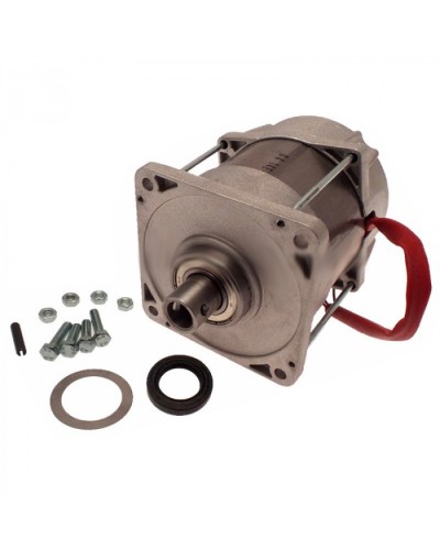 Электродвигатель FERNI Came 119RID087 в Первоуральске Запчасти для шлагбаумов и автоматики Pintop.ru