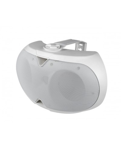 Громкоговоритель настенный 2-х полосный VOLTA ELLIPSE-2440TW в Первоуральске Система оповещения и трансляции Volta Pintop.ru