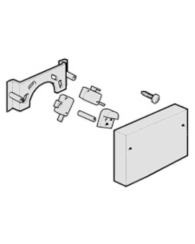 Микровыключатели G4000, G3750 Came 119RIG040 в Первоуральске Запчасти для шлагбаумов и автоматики Pintop.ru