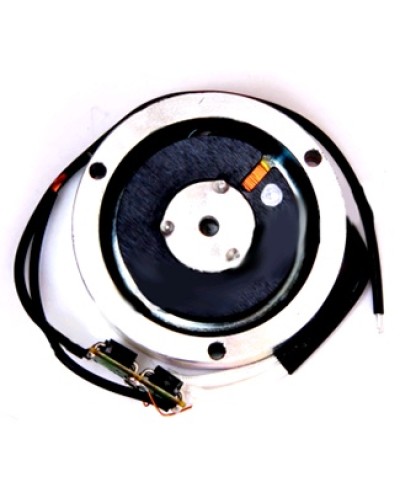 Электромагнит BY1500T Came 119RIY034 в Первоуральске Запчасти для шлагбаумов и автоматики Pintop.ru