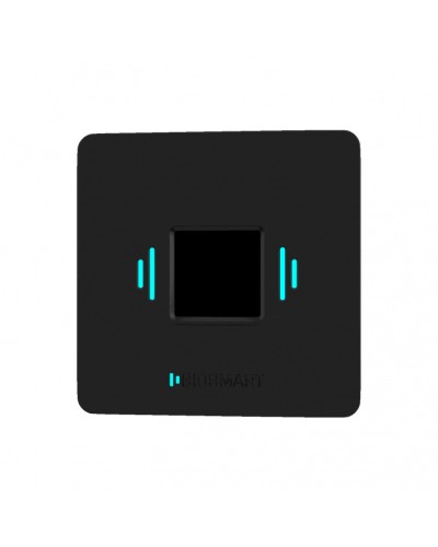 Считыватель вен ладоней BioSmart PALMJET BOX (крепление на плоскость) в Первоуральске Считыватели Pintop.ru