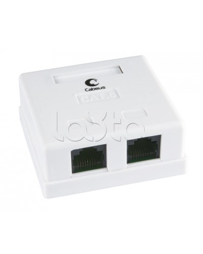 Розетка компьютерная RJ-45(8P8C), категория 6, двойная, внешняя, Krone type Cabeus WS-8P8C-Cat.6-2 в Первоуральске Розетки компьютерные и телефонные Pintop.ru