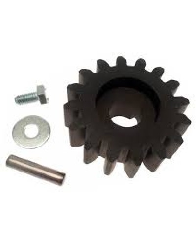 Шестерня для цепной передачи Came 119RIBK036 в Первоуральске Запчасти для шлагбаумов и автоматики Pintop.ru