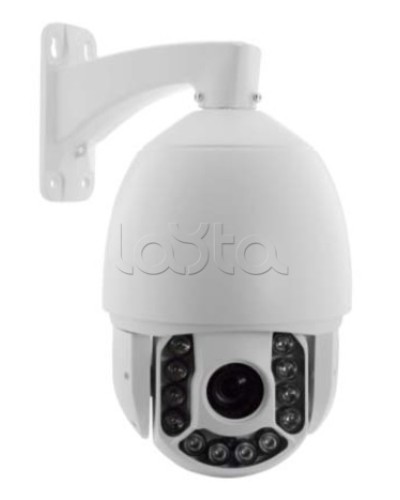 IP-камера видеонаблюдения купольная EverFocus ACE-ATE2033 в Первоуральске IP-камеры Pintop.ru