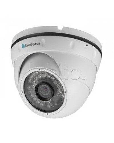 IP-камера видеонаблюдения купольная EverFocus ACE-IAV30 в Первоуральске IP-камеры Pintop.ru