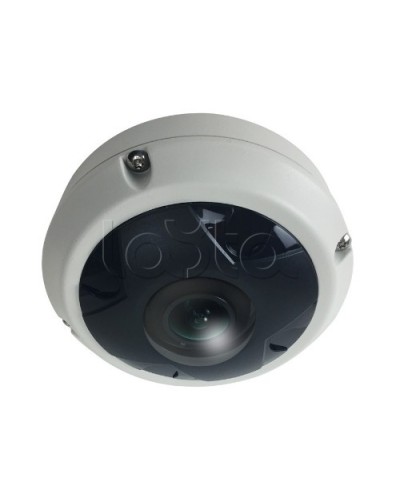 IP-камера видеонаблюдения купольная EverFocus ACE-KU89F в Первоуральске IP-камеры Pintop.ru