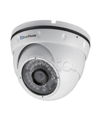 IP-камера видеонаблюдения уличная купольная EverFocus EBN-268 в Первоуральске IP-камеры Pintop.ru