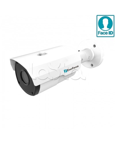 IP-камера видеонаблюдения в стандартном исполнении EverFocus EZN-2850 в Первоуральске IP-камеры Pintop.ru