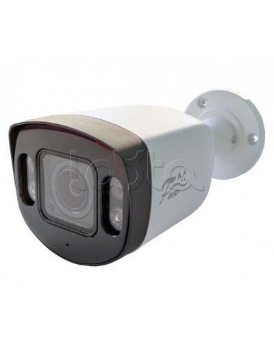 IP-камера видеонаблюдения в стандартном исполнении Fox FX-IPC-C40AP-IR H.265 AI в Первоуральске IP-камеры Pintop.ru