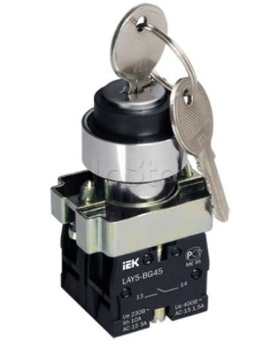 Переключатель LAY5-BG45 на 2 положения с ключом без фиксации IEK BSW80-BG-2-K02 в Первоуральске Аксессуары для стоек и шкафов Pintop.ru