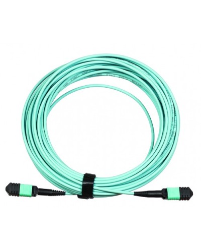 Сборка кабельная LANMASTER (LAN-12M-12M/OM3B-2.0) в Первоуральске Коннекторы Pintop.ru