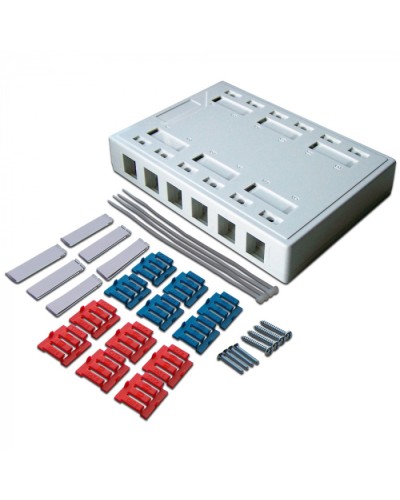 Коробка настенная на 12 кейстоунов, белая LANMASTER (LAN-MB-12K-WH) в Первоуральске Распределительные коробки Pintop.ru