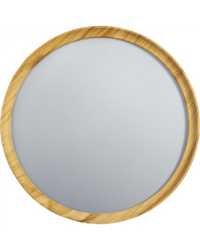 Светильник Navigator 93 458 NLF-C-024-02 в Первоуральске Светильники Pintop.ru