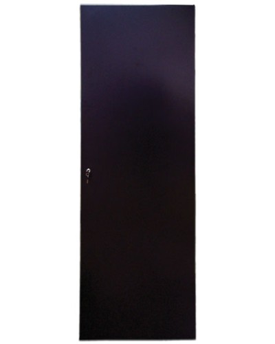 Дверь задняя для шкафов серии Business металл, 42U, ширина 600 мм TWT TWT-CBB-DRM1-42U-6 в Первоуральске Аксессуары для стоек и шкафов Pintop.ru