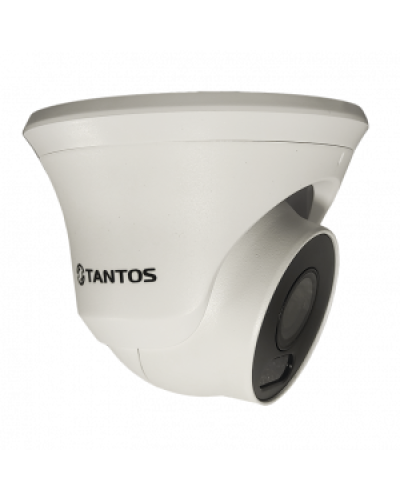 IP-видеокамера в купольном исполнении уличная Tantos TSi-Beco45FP в Первоуральске IP-камеры Pintop.ru