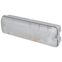 Табло М-12/24-AQUA-СН исп.1 (с наклейкой) со скрытой надписью (ИП Раченков А.В.)