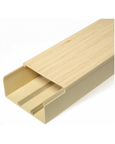 Кабель-канал сосна 2-й замок в п/э 100х60 (8 м/уп) Промрукав (PR03.0192) в Первоуральске Кабель-канал Pintop.ru