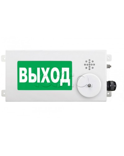 Табло световое взрывозащищенное Спектрон ТСВ-Exm-М-Прометей-МИНИ 12-36 В ПОЖАР в Первоуральске Оповещатели Ex Pintop.ru