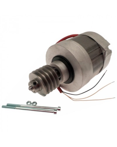 Электродвигатель BX-A, BX-74 в сборе Came 119RIBX016 в Первоуральске Запчасти для шлагбаумов и автоматики Pintop.ru