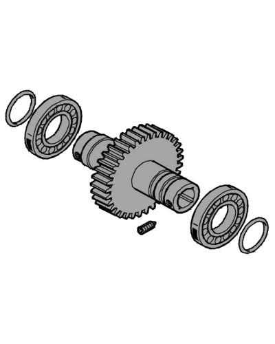 Вал выходной EMEGA Came 119RIE062 в Первоуральске Запчасти для шлагбаумов и автоматики Pintop.ru