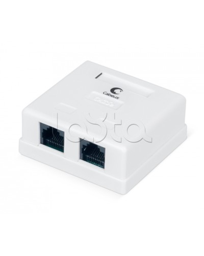 Розетка компьютерная RJ-45, категория 5e, двойная, внешняя, Dual IDC Cabeus WS-8P8C-Cat.5e-2 в Первоуральске Розетки компьютерные и телефонные Pintop.ru