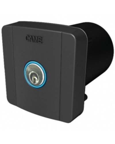 Ключ-выключатель встраиваемый Came 806SL-0020 в Первоуральске Запчасти для шлагбаумов и автоматики Pintop.ru