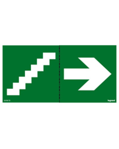 Пиктограмма 100х200 лестница стрелка Legrand 661672 в Первоуральске Дополнительное оборудование для ОПС Pintop.ru