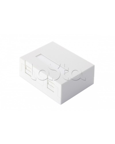 Настенная коробка 2-портовая со шторками, белый Eurolan (12B-04-02WT-2) в Первоуральске Розетки компьютерные и телефонные Pintop.ru