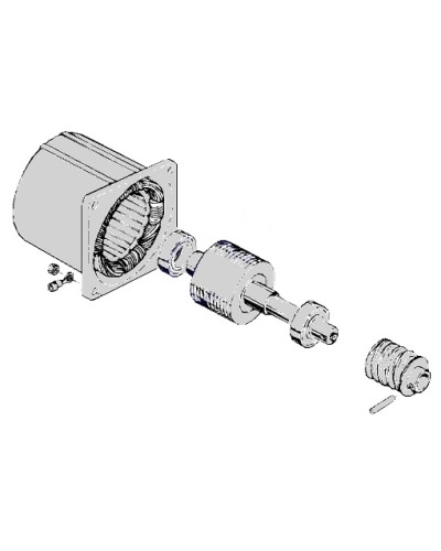Электродвигатель С-100 Came 119RIC052 в Первоуральске Запчасти для шлагбаумов и автоматики Pintop.ru