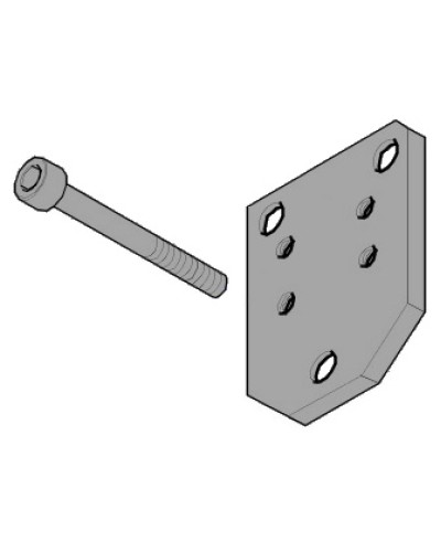 Пластина монтажная FLEX Came 119RID143 в Первоуральске Запчасти для шлагбаумов и автоматики Pintop.ru