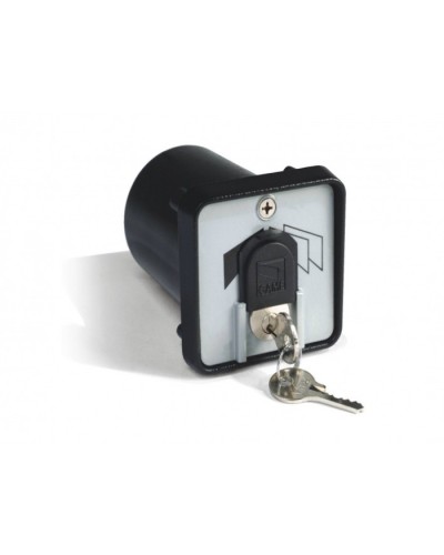 Ключ-выключатель с защитой цилиндра, встраиваемый Came 001SET-K в Первоуральске Запчасти для шлагбаумов и автоматики Pintop.ru